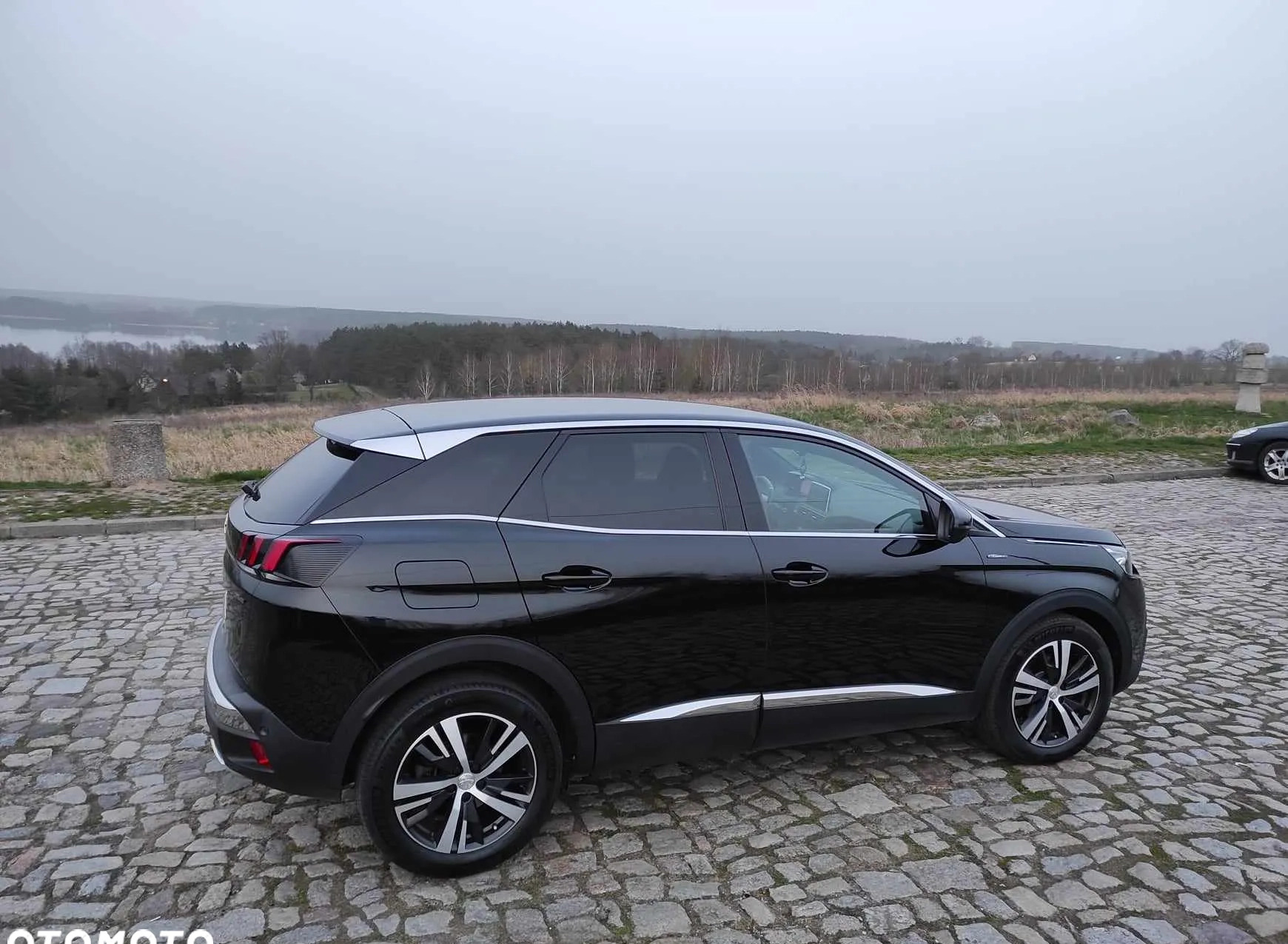 Peugeot 3008 cena 79000 przebieg: 172500, rok produkcji 2017 z Sieraków małe 277